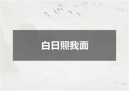 白日照我面