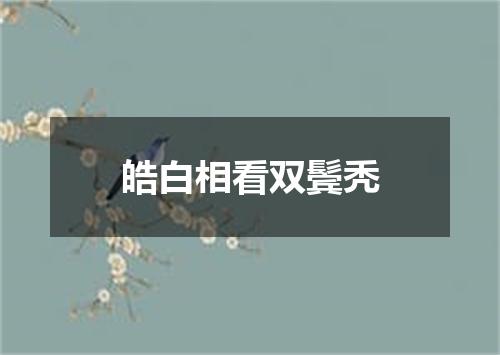 皓白相看双鬓秃