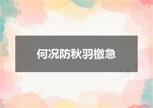 何况防秋羽檄急