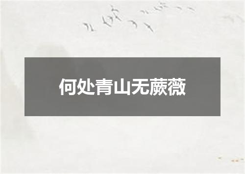 何处青山无蕨薇
