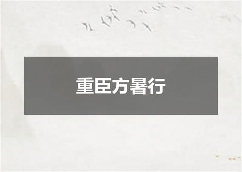 重臣方暑行