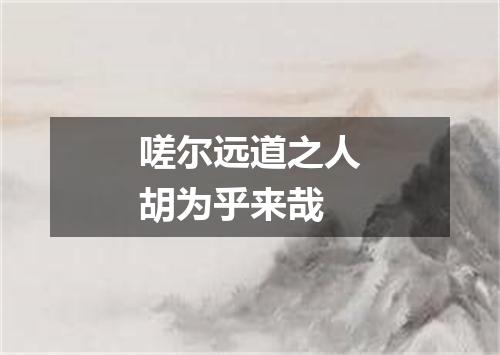 嗟尔远道之人胡为乎来哉