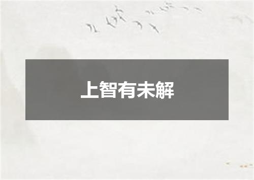 上智有未解