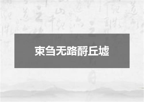 束刍无路酹丘墟