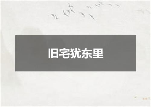 旧宅犹东里