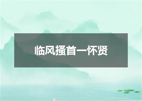 临风搔首一怀贤