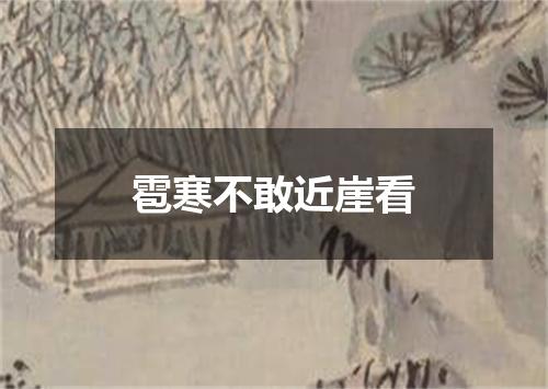 雹寒不敢近崖看