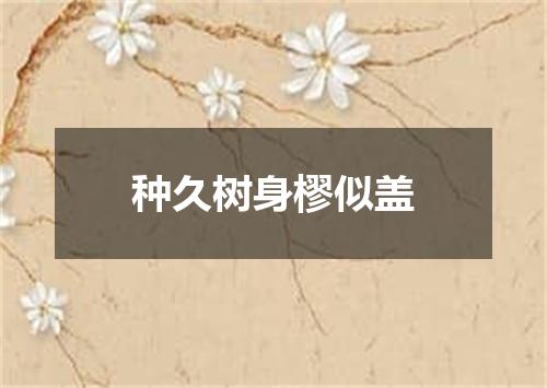 种久树身樛似盖