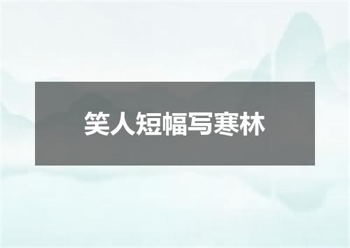 笑人短幅写寒林