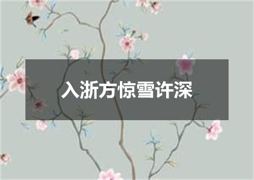 入浙方惊雪许深