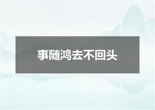 事随鸿去不回头