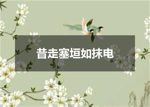 昔走塞垣如抹电