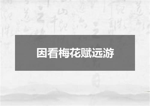因看梅花赋远游
