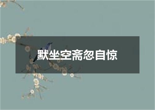 默坐空斋忽自惊