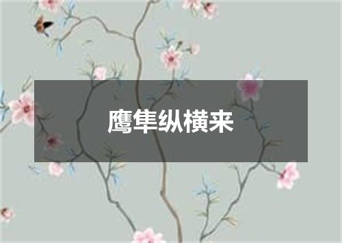 鹰隼纵横来