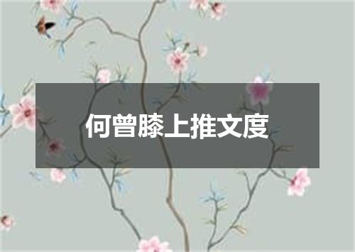 何曾膝上推文度