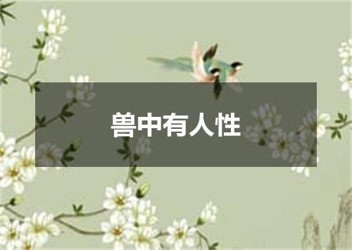 兽中有人性