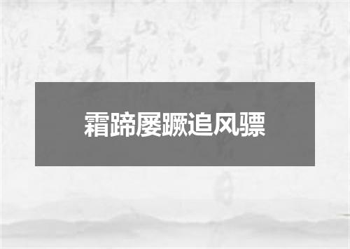 霜蹄屡蹶追风骠