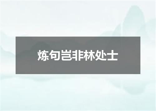 炼句岂非林处士