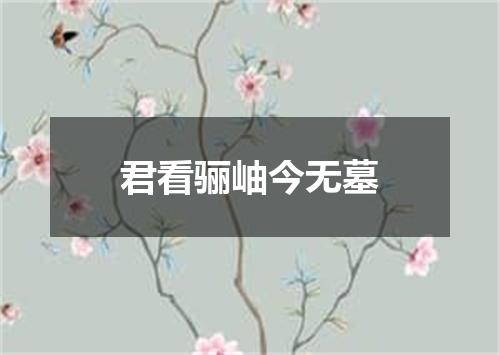 君看骊岫今无墓