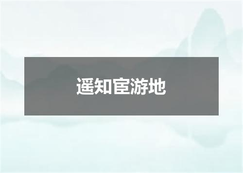 遥知宦游地