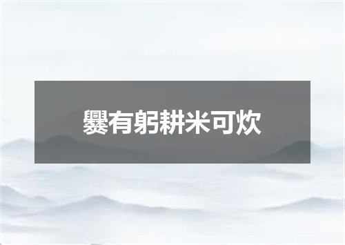 爨有躬耕米可炊