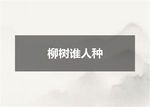 柳树谁人种