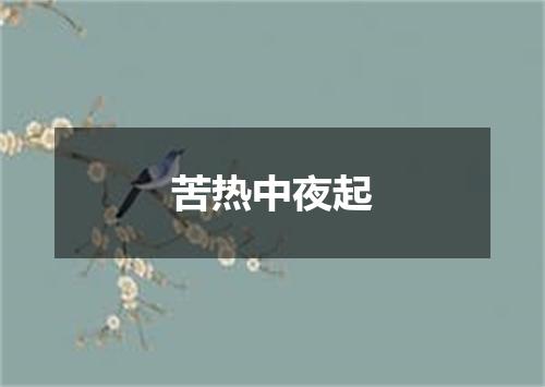 苦热中夜起