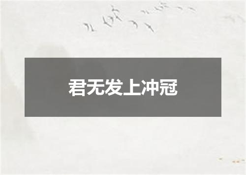 君无发上冲冠