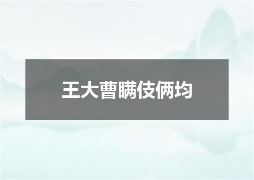王大曹瞒伎俩均