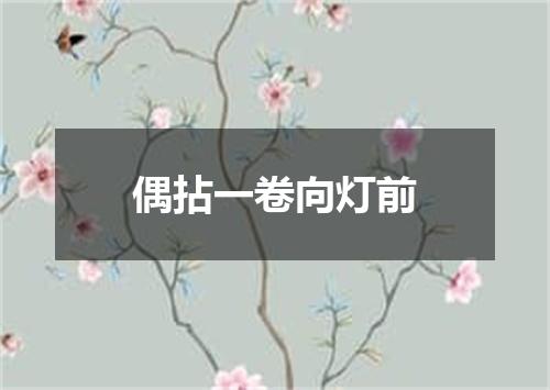 偶拈一卷向灯前