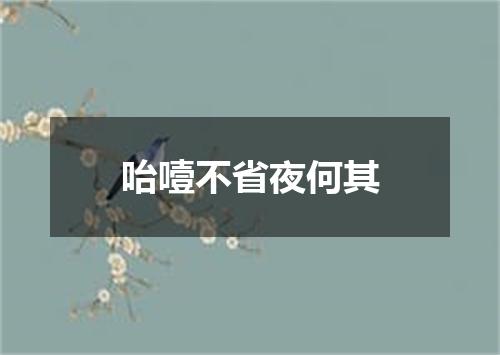 咍噎不省夜何其