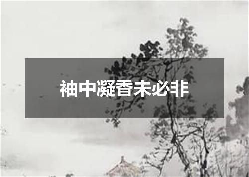 袖中凝香未必非