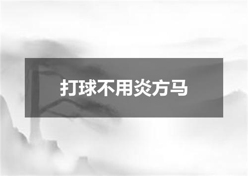 打球不用炎方马