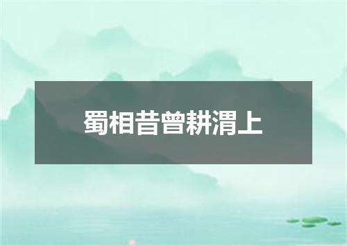 蜀相昔曾耕渭上