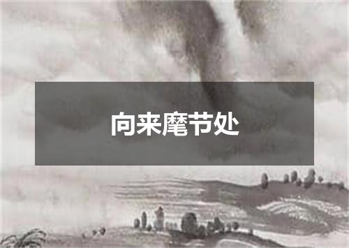 向来麾节处