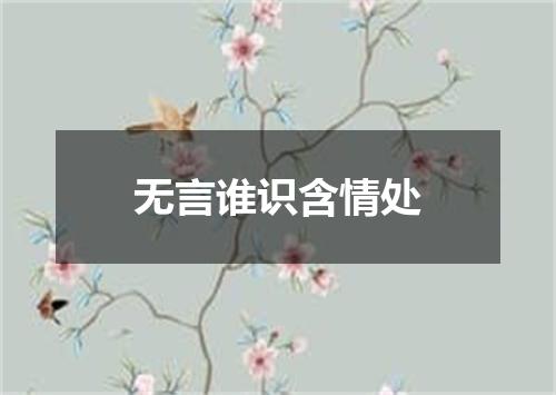 无言谁识含情处