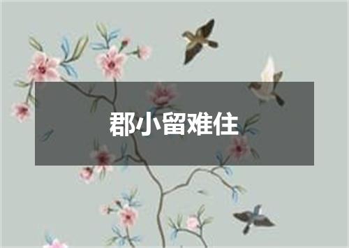 郡小留难住