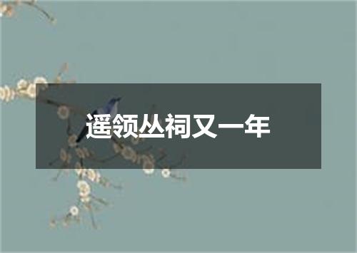 遥领丛祠又一年