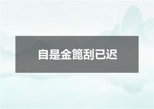 自是金篦刮已迟