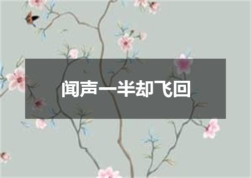 闻声一半却飞回