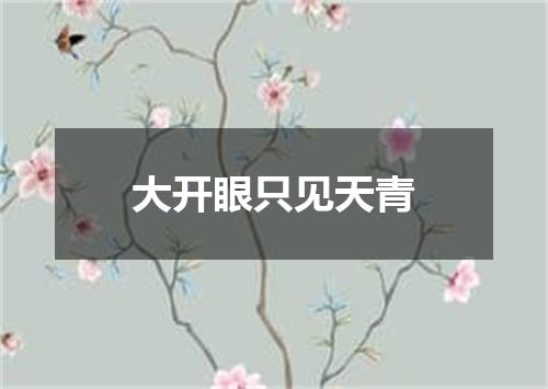 大开眼只见天青