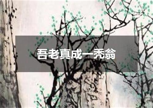 吾老真成一秃翁