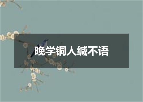 晚学铜人缄不语