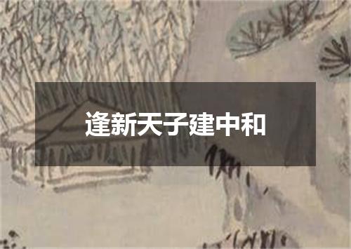 逢新天子建中和