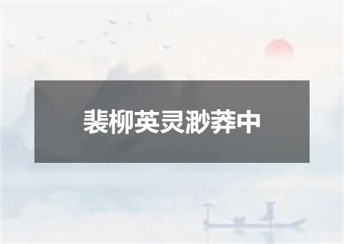 裴柳英灵渺莽中
