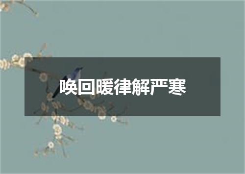 唤回暖律解严寒