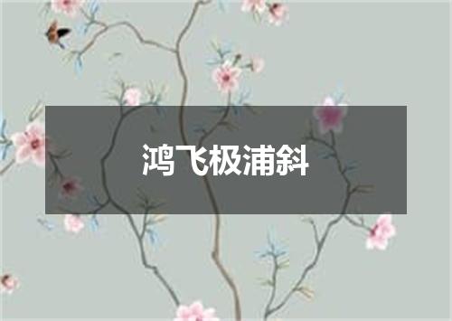 鸿飞极浦斜