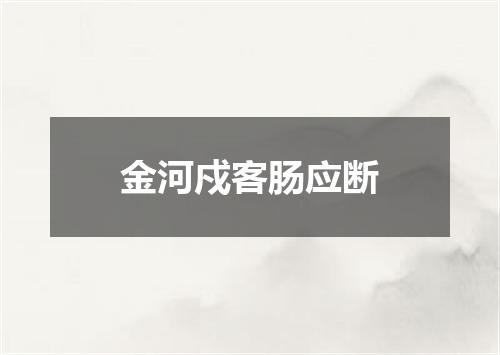 金河戍客肠应断
