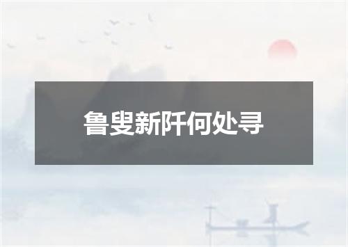 鲁叟新阡何处寻